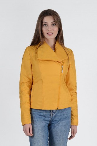 ������ ����