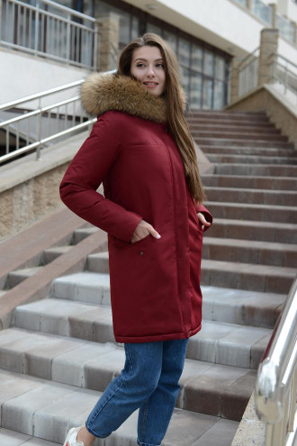 ������ ������