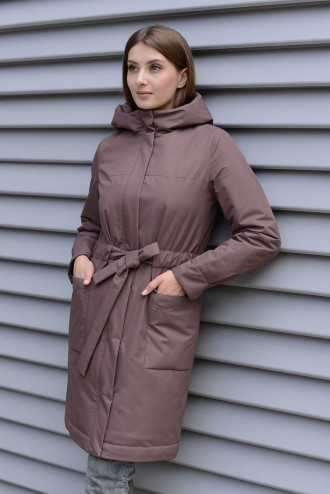 ���������� ����