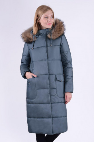 ������ ������