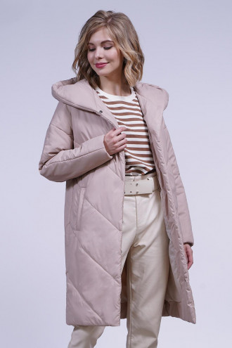 ������ ����