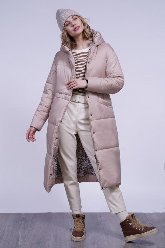 ������ ������