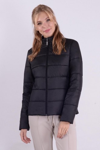 ������ ����