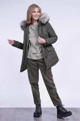 ������ ������